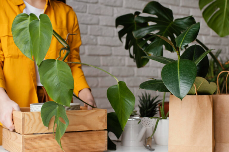 Eco-friendly retail store in California using sustainable practices