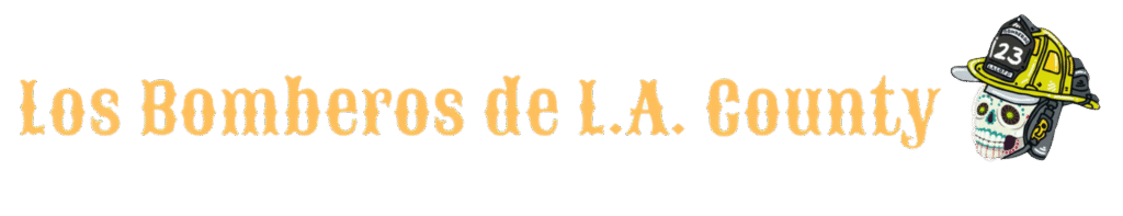 image_2025-12-18_113803941