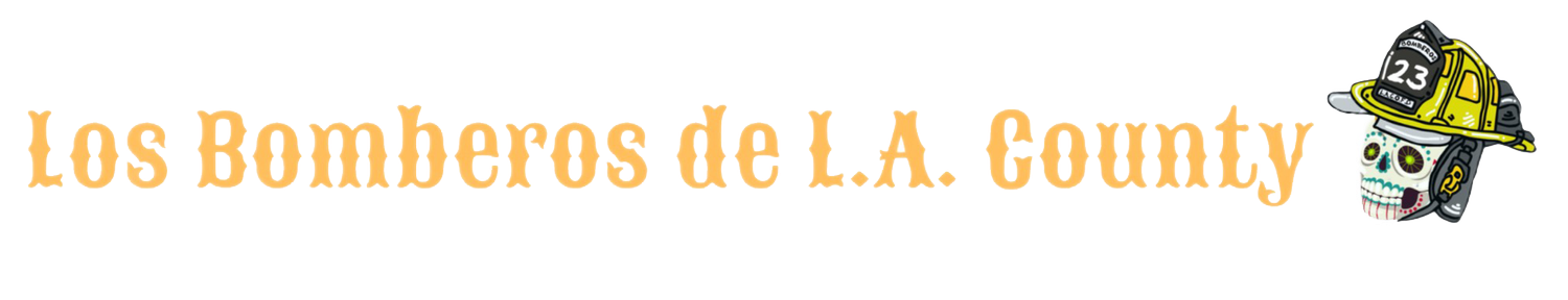 image_2025-12-18_113803941