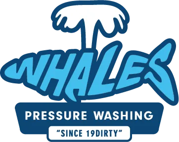 image_2025-12-18_124339605